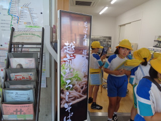 Dsc03231