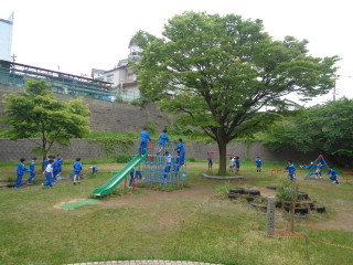 Dsc04125