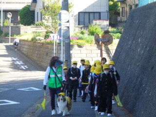 Dsc04174