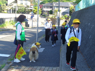 Dsc04177