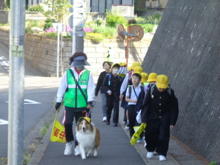 Dsc04256