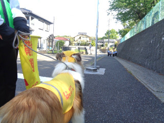 Dsc04257