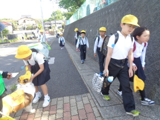 Dsc04258