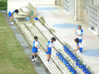 Dsc04607